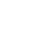 branch-icon